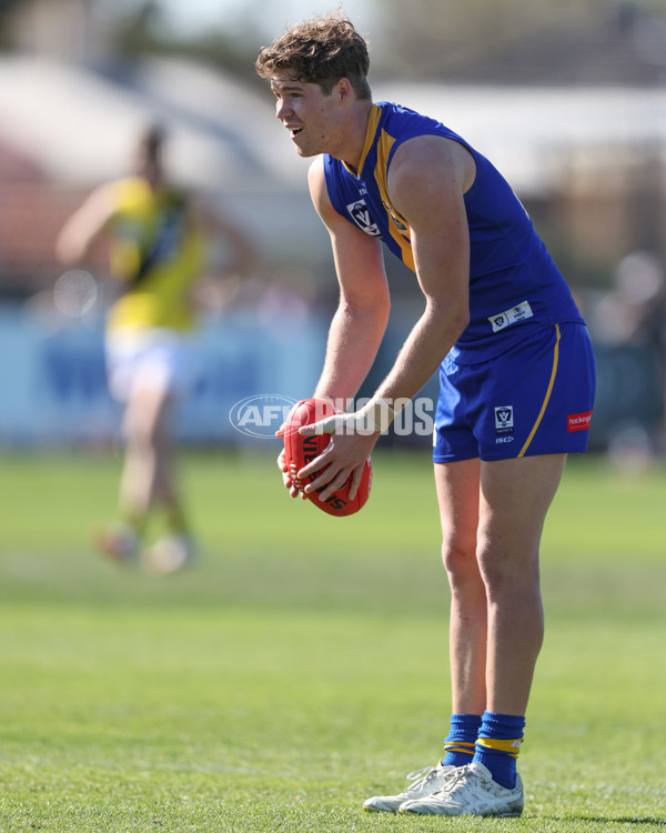 VFL 2024 Wildcard Round - Williamstown v Richmond - A-53415797