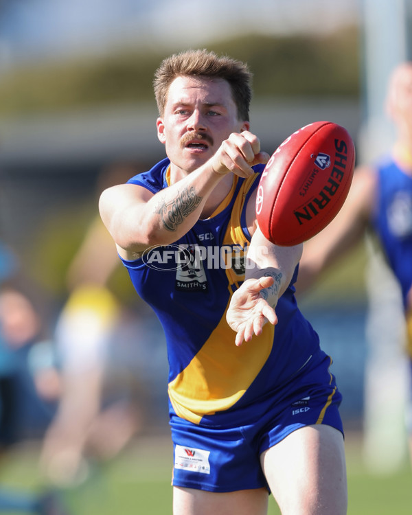 VFL 2024 Wildcard Round - Williamstown v Richmond - A-53415811