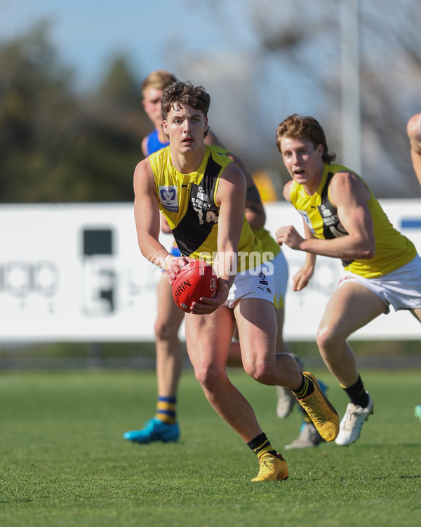 VFL 2024 Wildcard Round - Williamstown v Richmond - A-53415821