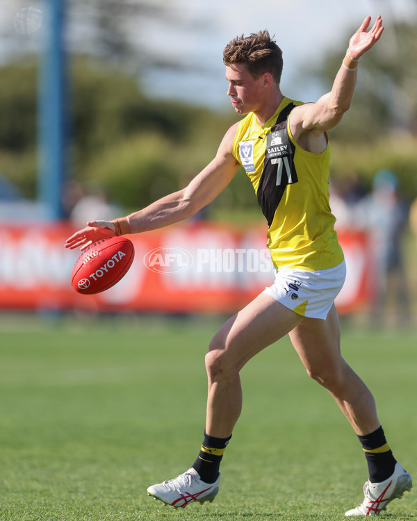 VFL 2024 Wildcard Round - Williamstown v Richmond - A-53415822