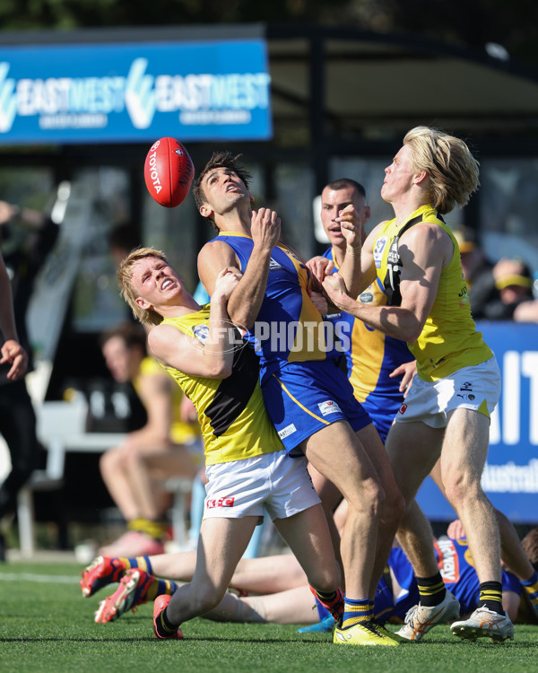 VFL 2024 Wildcard Round - Williamstown v Richmond - A-53415823