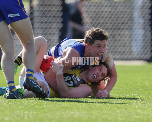 VFL 2024 Wildcard Round - Williamstown v Richmond - A-53415824