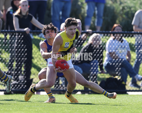 VFL 2024 Wildcard Round - Williamstown v Richmond - A-53415825