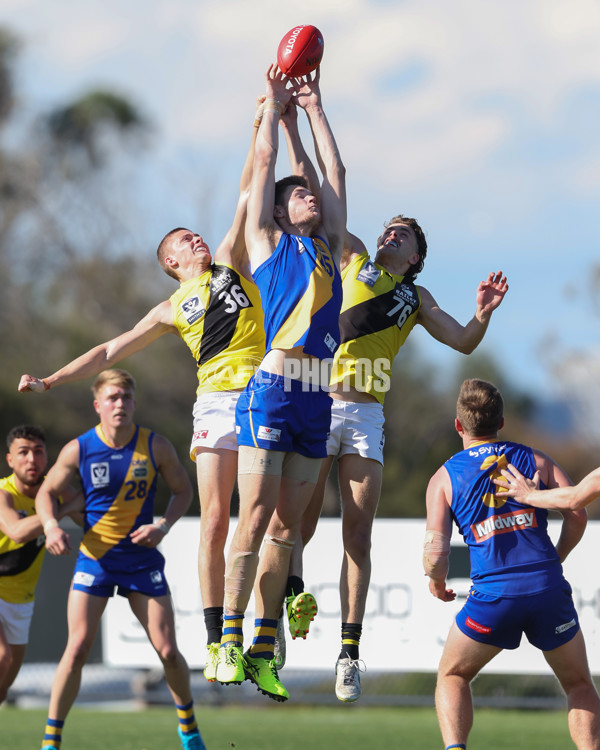 VFL 2024 Wildcard Round - Williamstown v Richmond - A-53415828