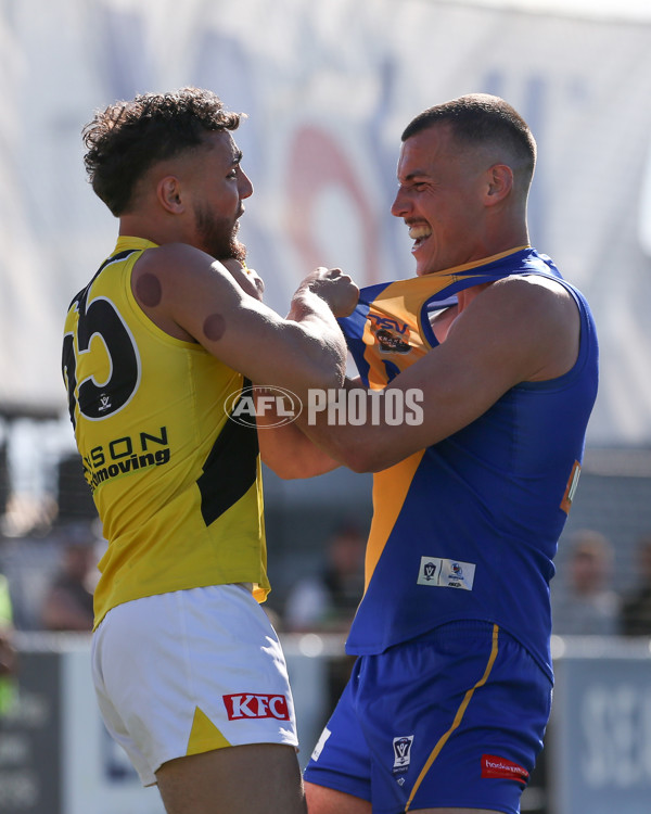 VFL 2024 Wildcard Round - Williamstown v Richmond - A-53415835