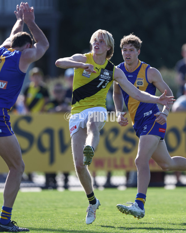 VFL 2024 Wildcard Round - Williamstown v Richmond - A-53415836