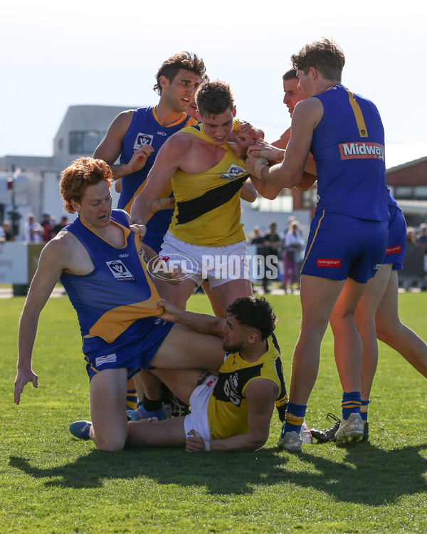 VFL 2024 Wildcard Round - Williamstown v Richmond - A-53415837