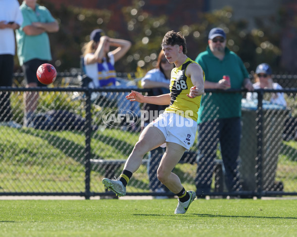 VFL 2024 Wildcard Round - Williamstown v Richmond - A-53415843