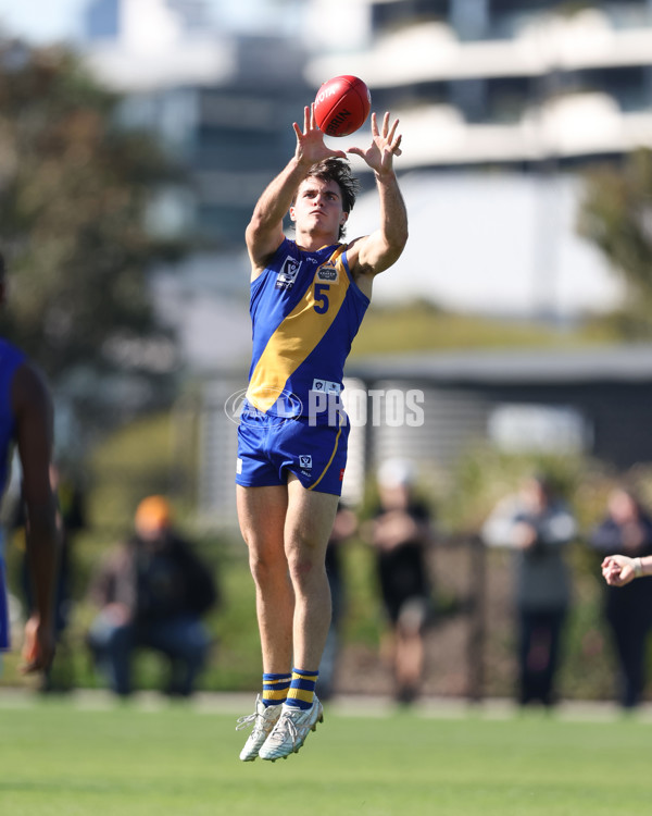 VFL 2024 Wildcard Round - Williamstown v Richmond - A-53415844