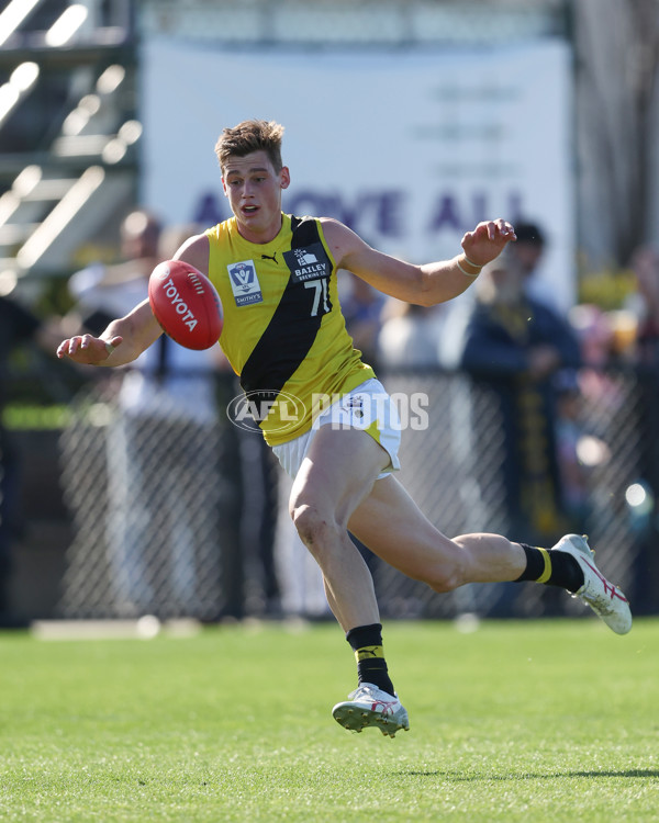 VFL 2024 Wildcard Round - Williamstown v Richmond - A-53418197