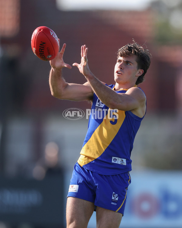 VFL 2024 Wildcard Round - Williamstown v Richmond - A-53418198