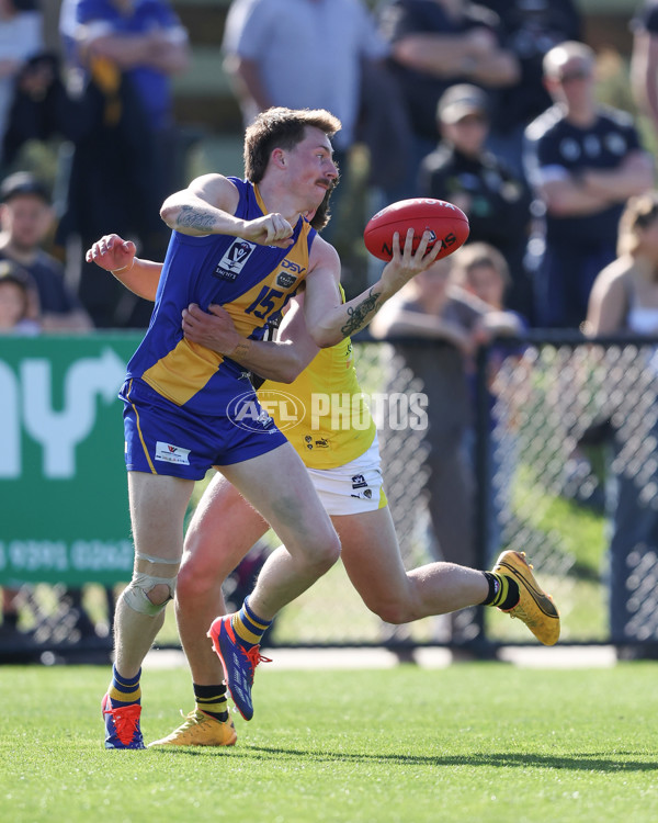 VFL 2024 Wildcard Round - Williamstown v Richmond - A-53418203