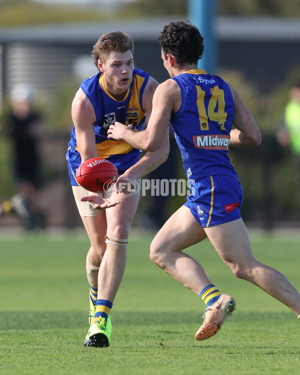 VFL 2024 Wildcard Round - Williamstown v Richmond - A-53418204