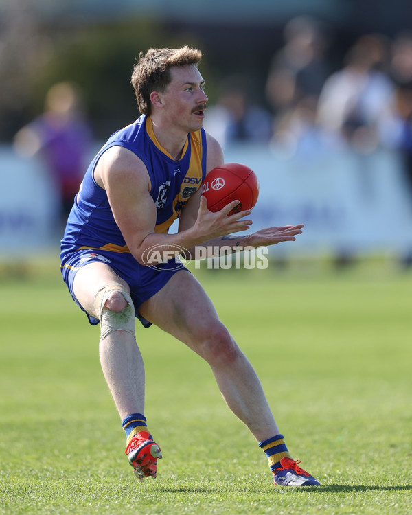 VFL 2024 Wildcard Round - Williamstown v Richmond - A-53418206