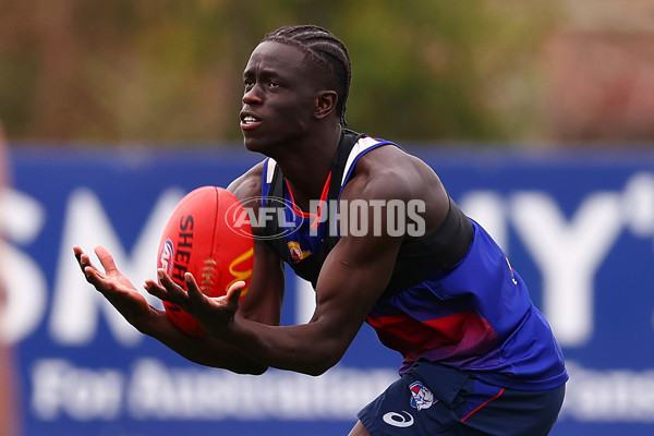 AFL 2024 Training - Western Bulldogs 270824 - A-53422875