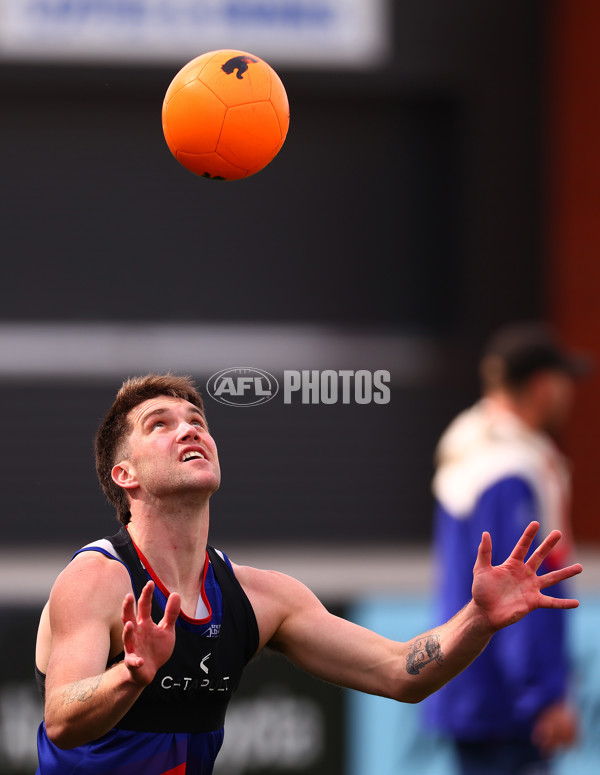 AFL 2024 Training - Western Bulldogs 270824 - A-53422882