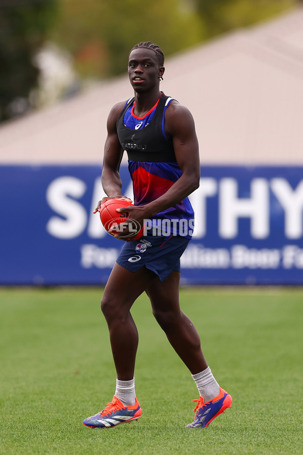 AFL 2024 Training - Western Bulldogs 270824 - A-53449016