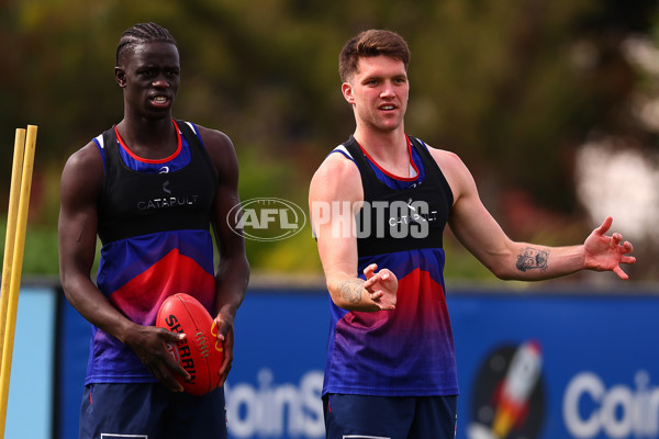 AFL 2024 Training - Western Bulldogs 270824 - A-53449032