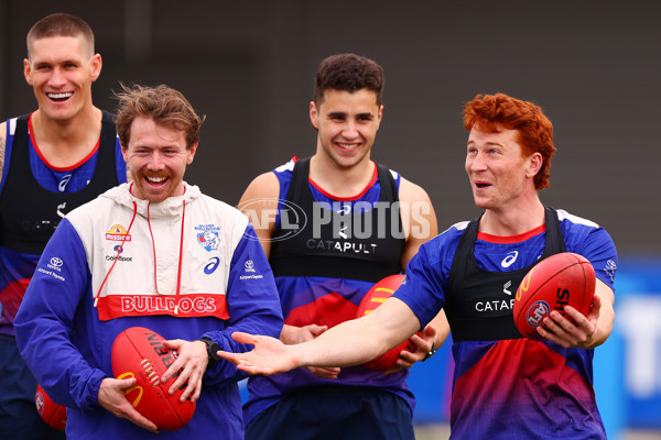 AFL 2024 Training - Western Bulldogs 270824 - A-53449053