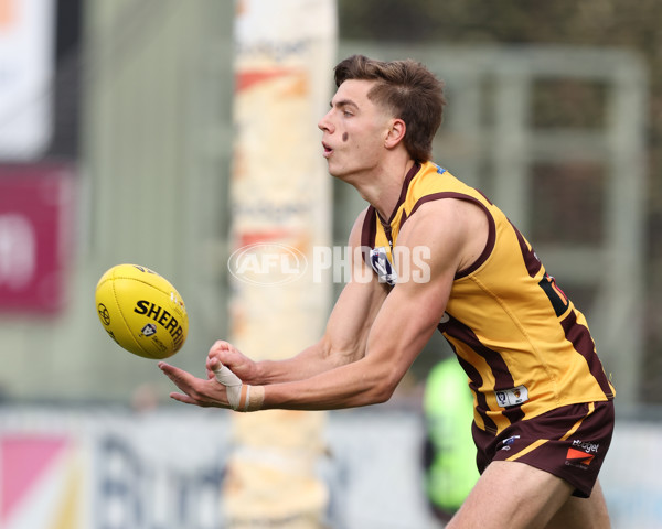 VFL 2024 Elimination Final - Box Hill v Williamstown - A-53565793