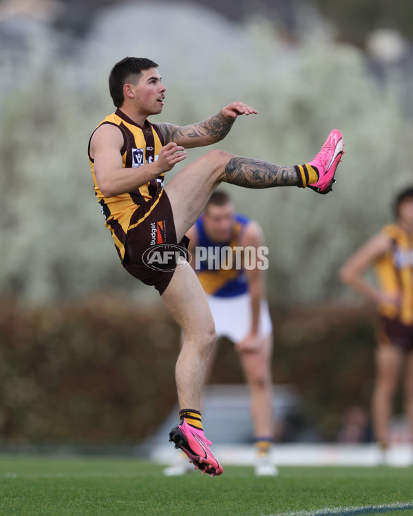 VFL 2024 Elimination Final - Box Hill v Williamstown - A-53568128