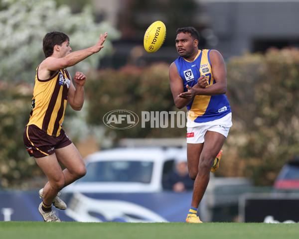 VFL 2024 Elimination Final - Box Hill v Williamstown - A-53568132