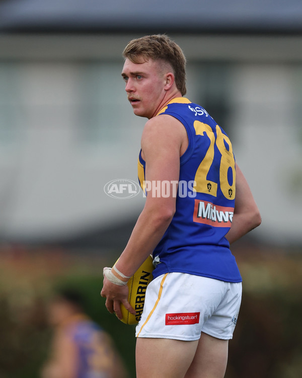 VFL 2024 Elimination Final - Box Hill v Williamstown - A-53568137