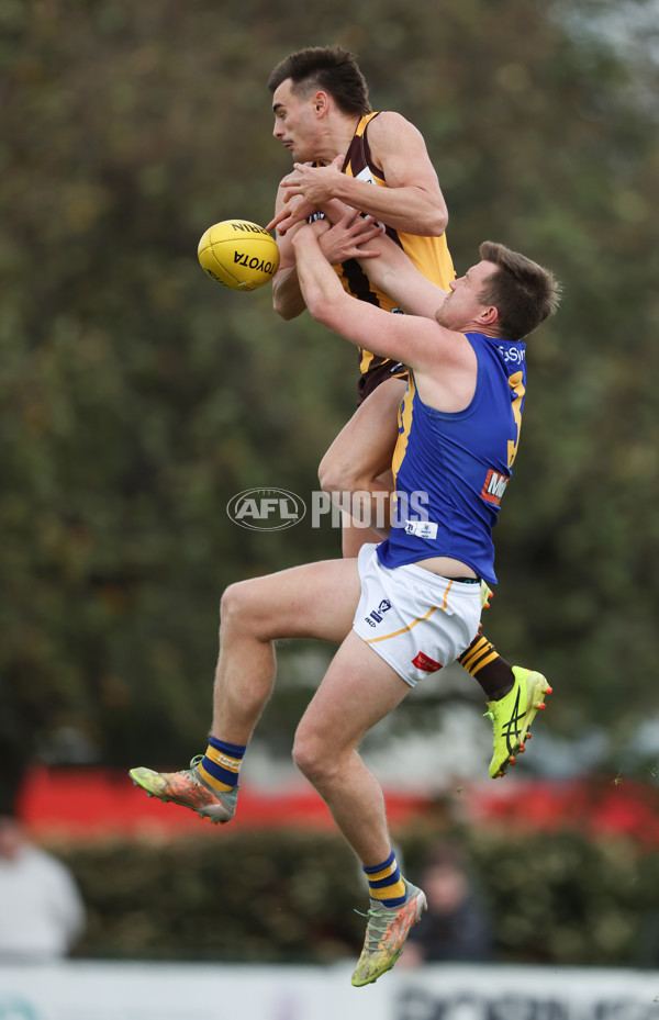 VFL 2024 Elimination Final - Box Hill v Williamstown - A-53568140