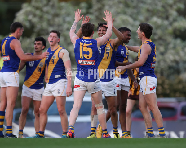 VFL 2024 Elimination Final - Box Hill v Williamstown - A-53580626