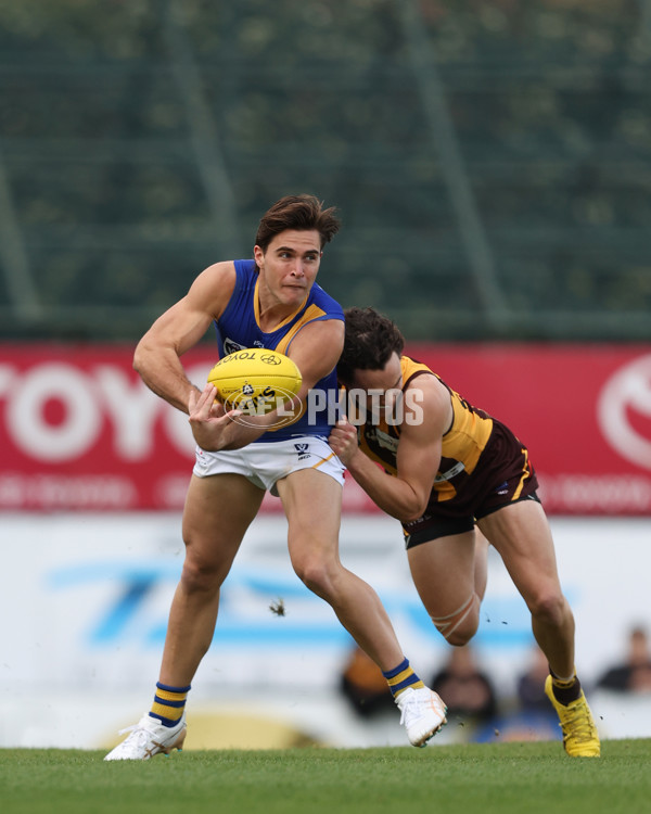 VFL 2024 Elimination Final - Box Hill v Williamstown - A-53580916