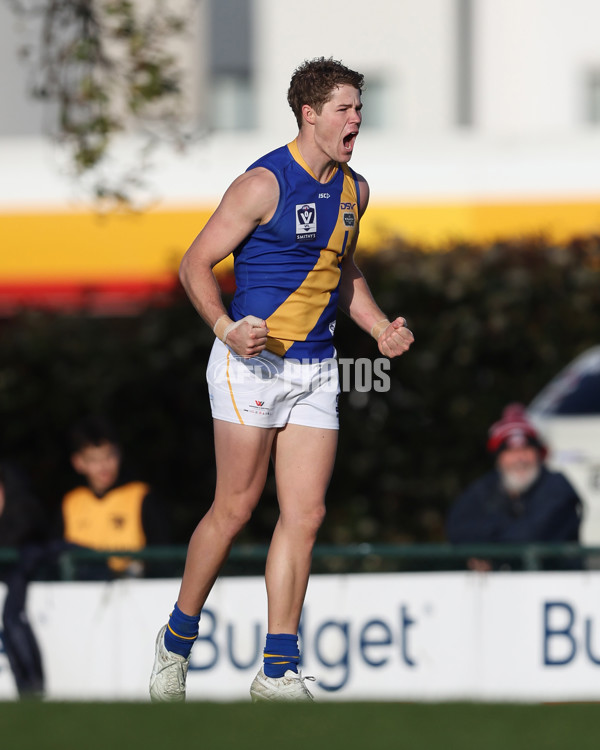 VFL 2024 Elimination Final - Box Hill v Williamstown - A-53580919