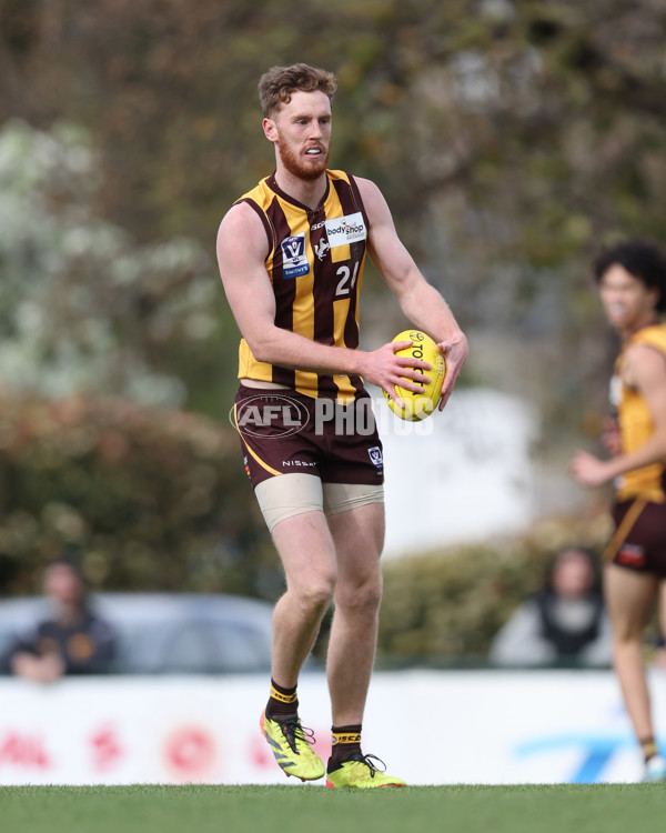 VFL 2024 Elimination Final - Box Hill v Williamstown - A-53580920