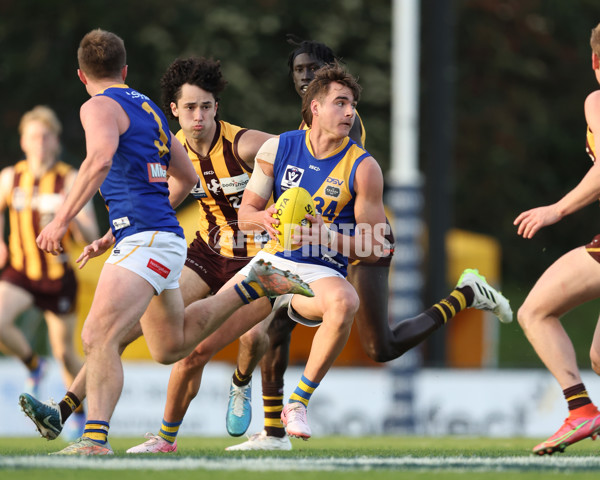 VFL 2024 Elimination Final - Box Hill v Williamstown - A-53580928