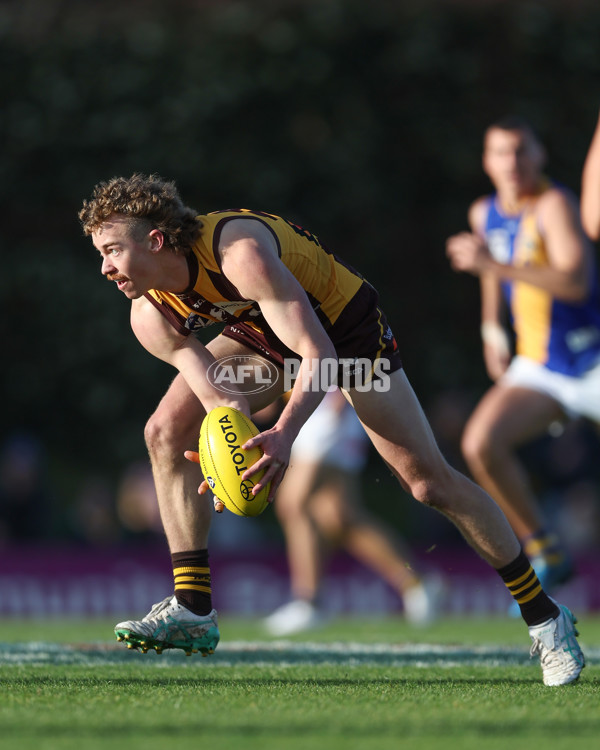 VFL 2024 Elimination Final - Box Hill v Williamstown - A-53585582