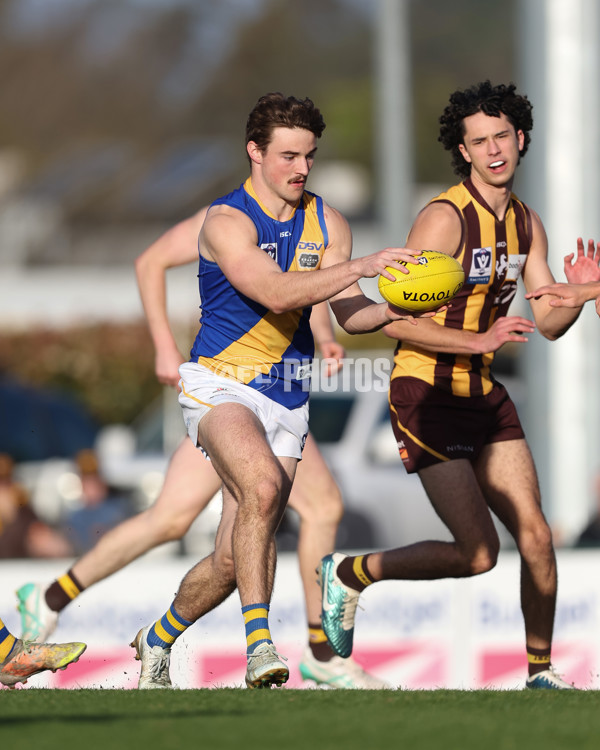 VFL 2024 Elimination Final - Box Hill v Williamstown - A-53585583