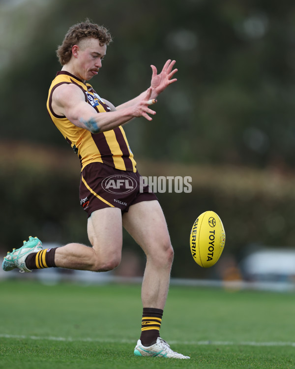 VFL 2024 Elimination Final - Box Hill v Williamstown - A-53586175