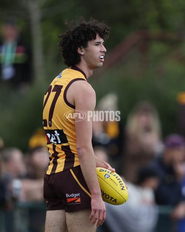 VFL 2024 Elimination Final - Box Hill v Williamstown - A-53586176