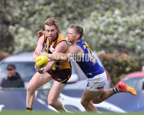 VFL 2024 Elimination Final - Box Hill v Williamstown - A-53586177