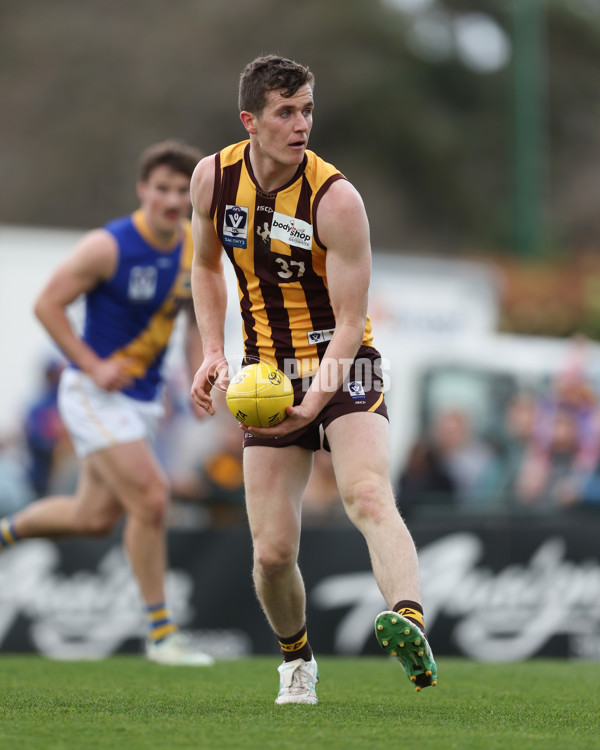 VFL 2024 Elimination Final - Box Hill v Williamstown - A-53586180