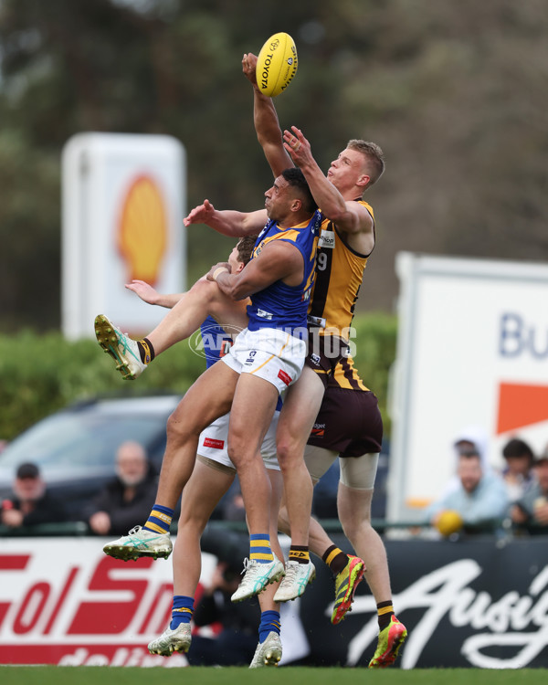 VFL 2024 Elimination Final - Box Hill v Williamstown - A-53586182