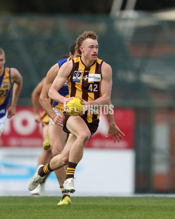 VFL 2024 Elimination Final - Box Hill v Williamstown - A-53586183