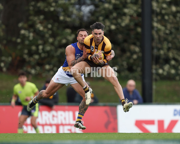 VFL 2024 Elimination Final - Box Hill v Williamstown - A-53586184