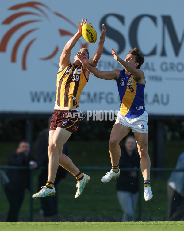 VFL 2024 Elimination Final - Box Hill v Williamstown - A-53586185