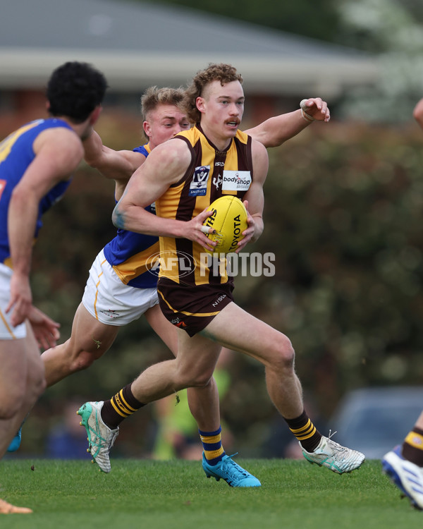 VFL 2024 Elimination Final - Box Hill v Williamstown - A-53586186