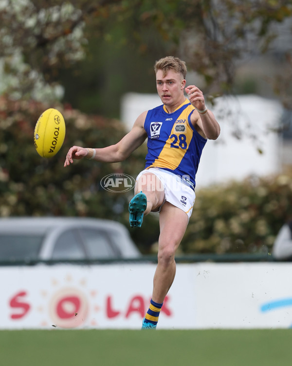 VFL 2024 Elimination Final - Box Hill v Williamstown - A-53590946