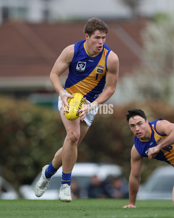 VFL 2024 Elimination Final - Box Hill v Williamstown - A-53590948