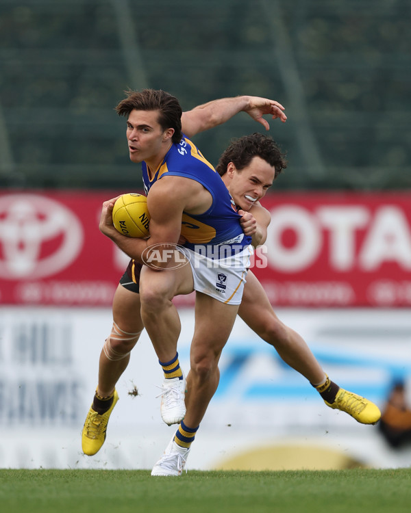 VFL 2024 Elimination Final - Box Hill v Williamstown - A-53590952