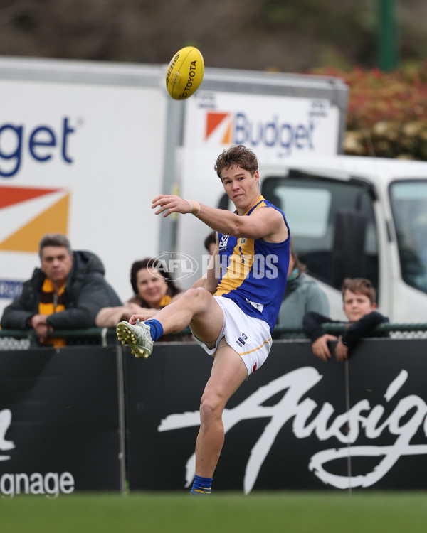 VFL 2024 Elimination Final - Box Hill v Williamstown - A-53590956