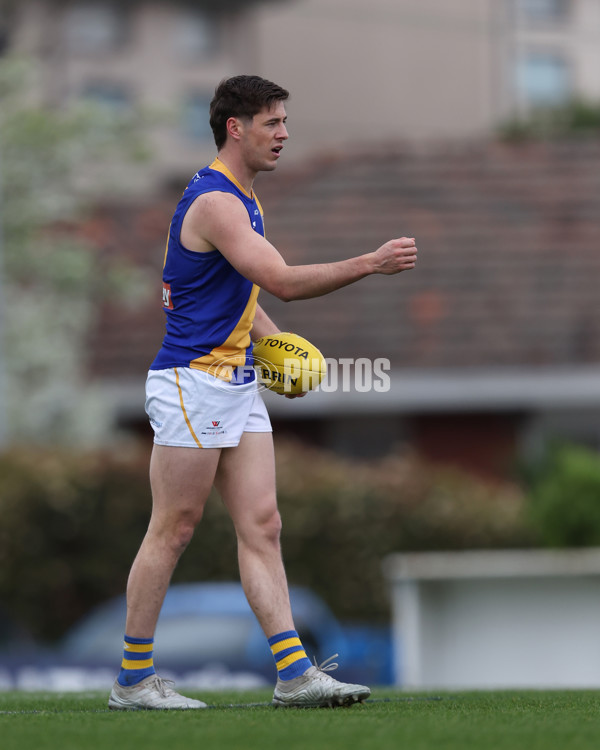 VFL 2024 Elimination Final - Box Hill v Williamstown - A-53590958