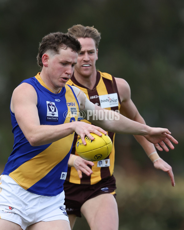 VFL 2024 Elimination Final - Box Hill v Williamstown - A-53591223